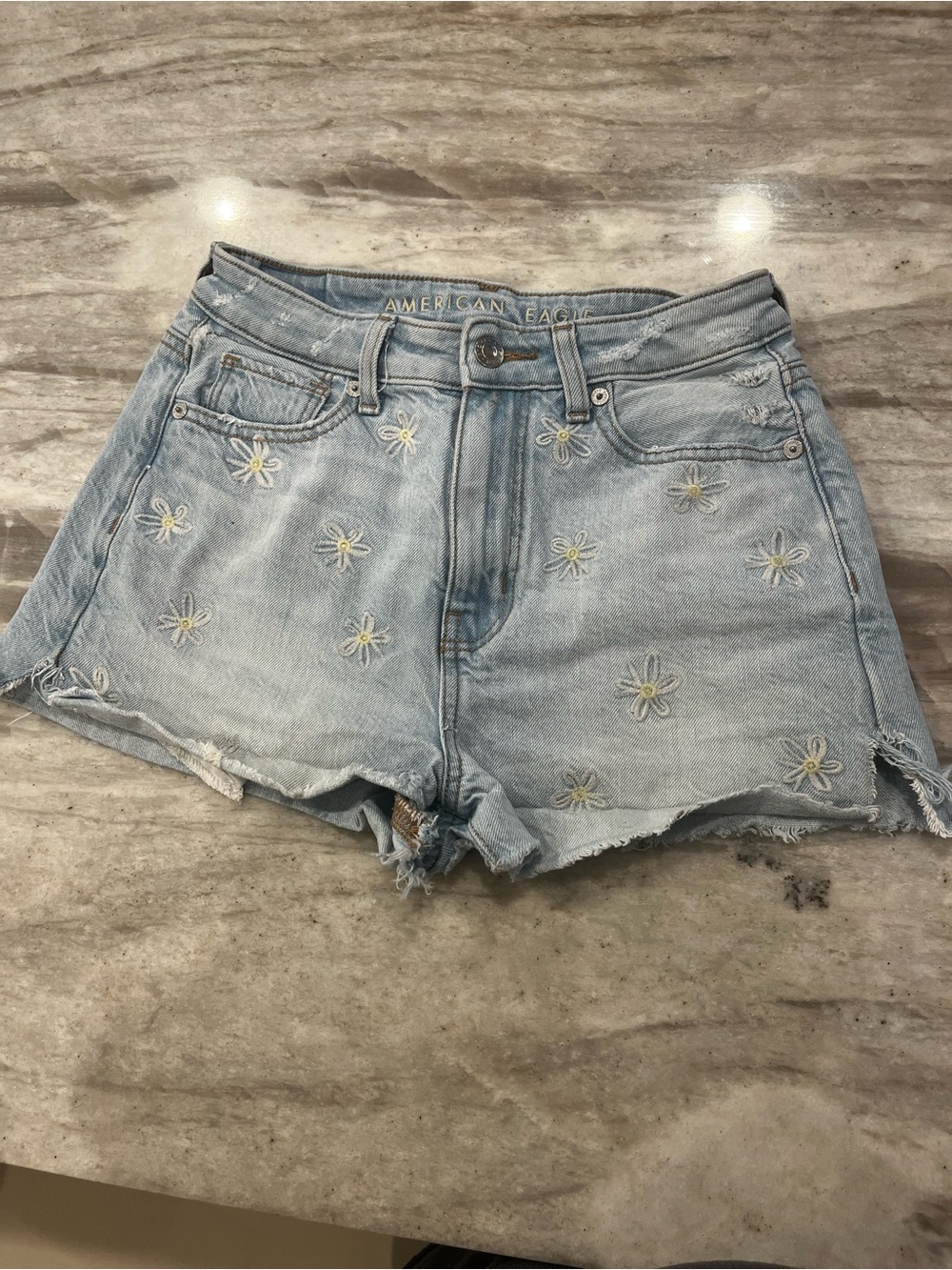American Eagle Outfitters Light Blue Daisy Embroidered Denim Shorts | Size 00
